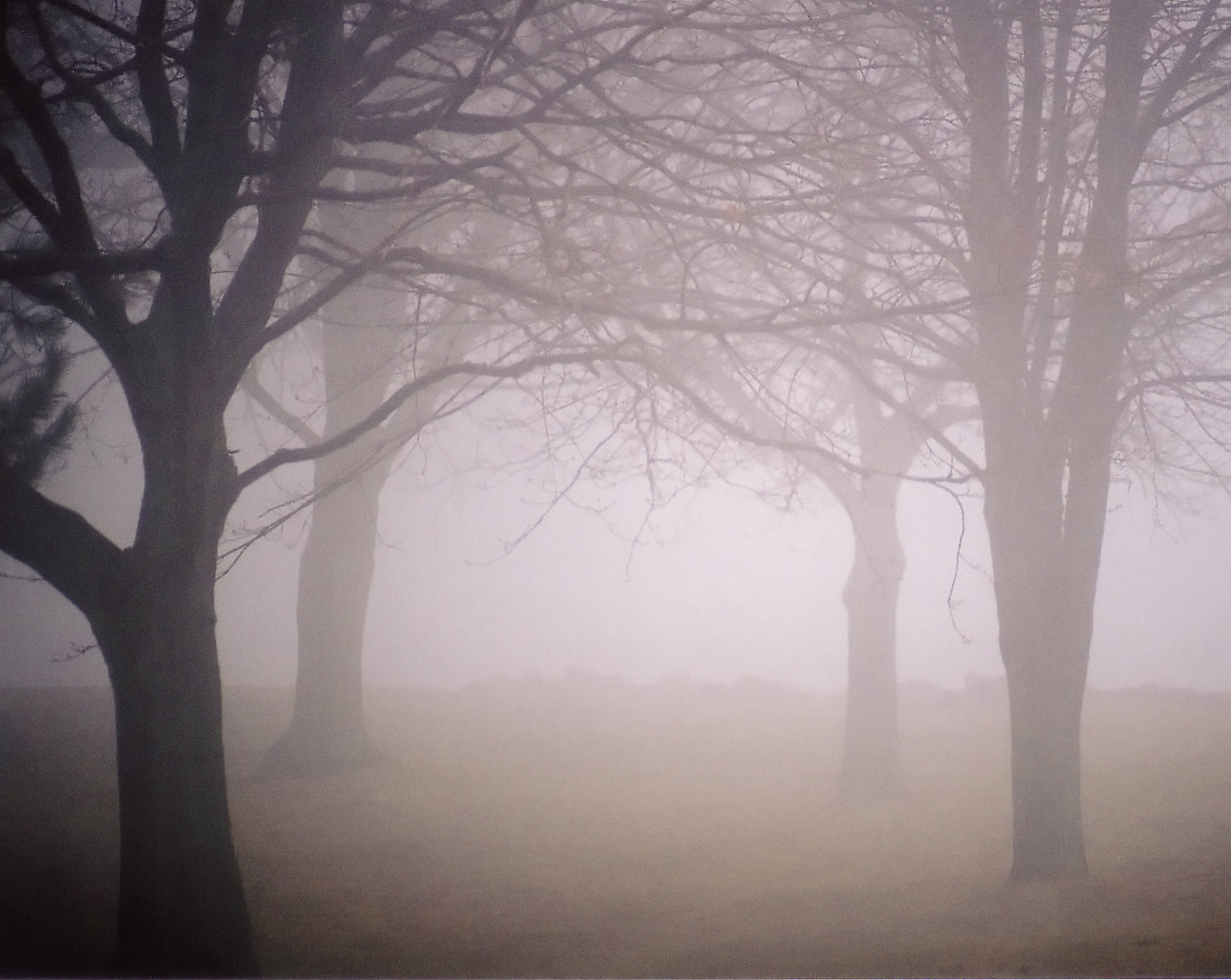 3 Mindsets You Should Adopt to Stay Safe